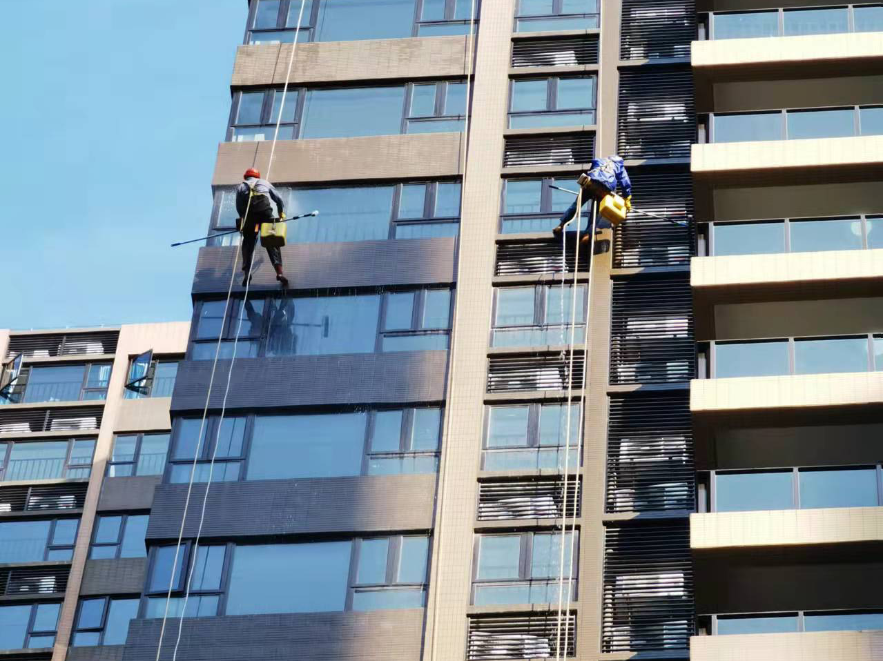 �麣�坍��˾